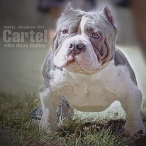 Meet your Posher, Wayne